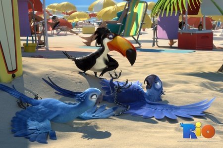 Мультфильм «Рио»: Попугаи учатся летать