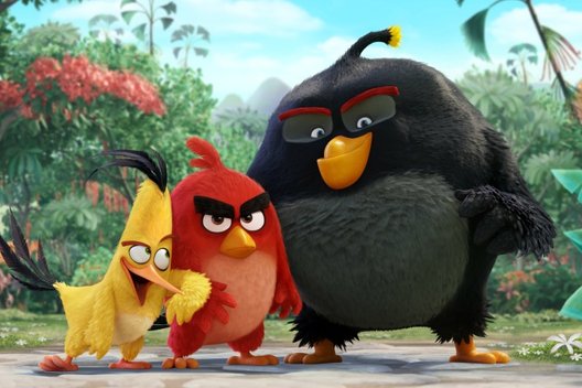 Мультфильм «Angry birgs в кино»: Кто такие птички?