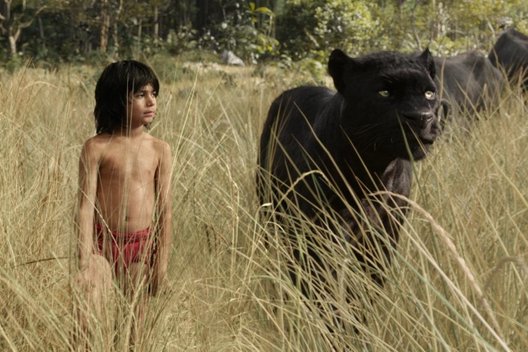Фильм «Книга джунглей»: Как мальчик тигра победил