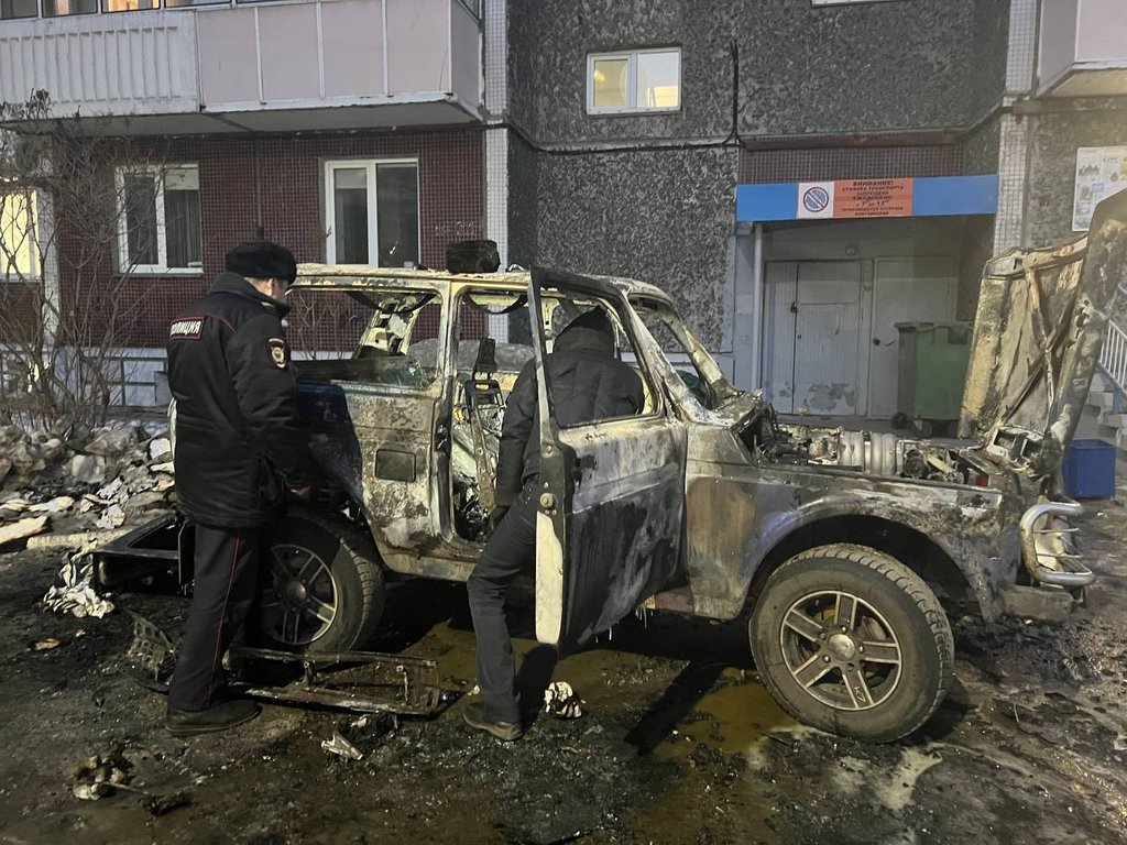 Двое детей чуть не сгорели заживо в машине в Красноярске — Происшествия :  REDOMM.RU