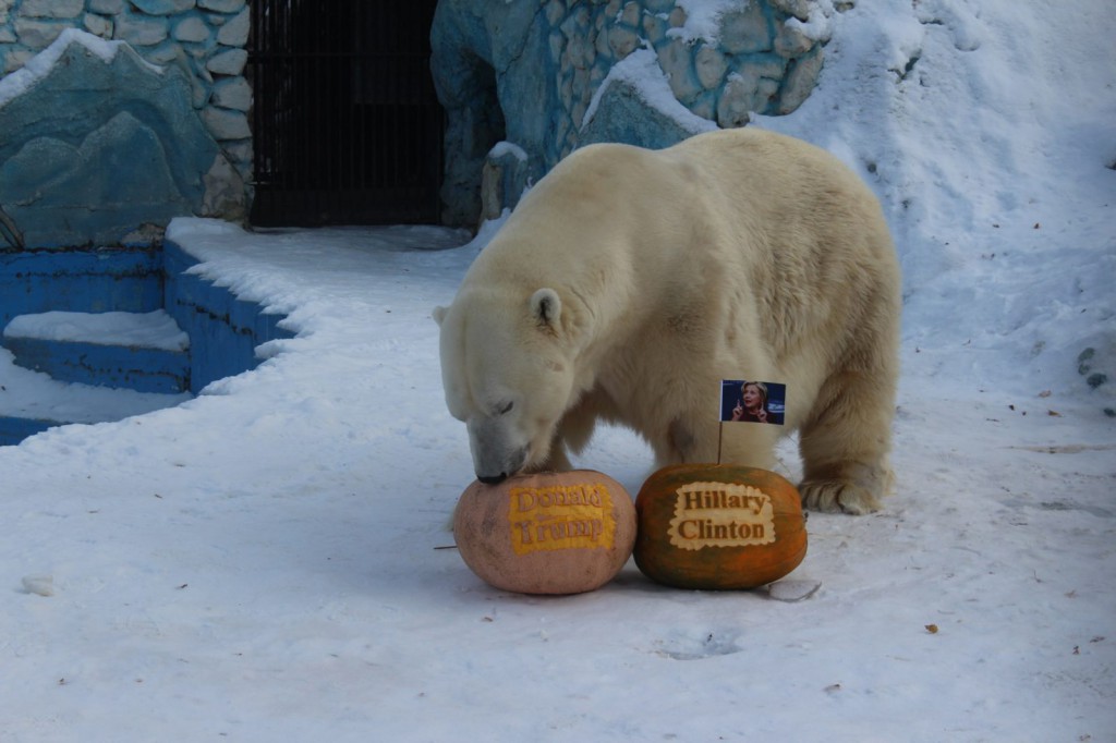 Russian zoo. Двух честный мишка.