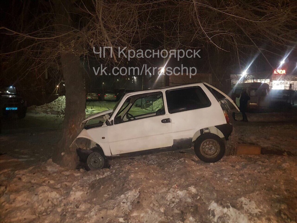 24 ока красноярск. Ока в дерево. Ока машина застрял. Ока слетела с дороги. Машина застряла между деревьями.