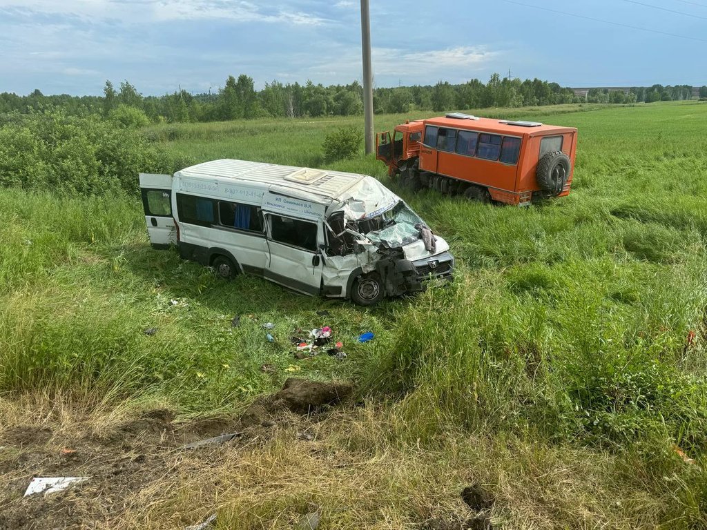 17 пострадавших: Микроавтобус с детьми попал в аварию на трассе в крае —  Происшествия : REDOMM.RU