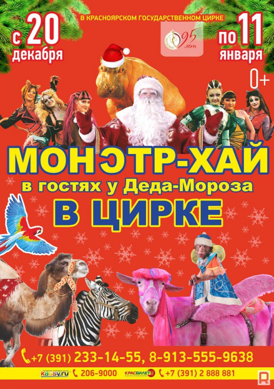 Цирк Новогоднее Представление